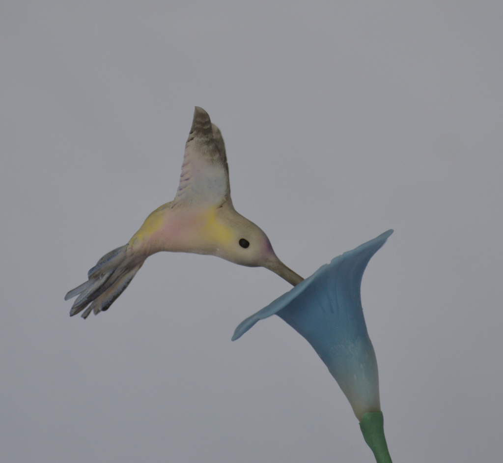 Colibri_zps878f0aff baby