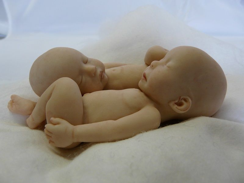 Gemini4_zps4cf3a1a2 bébé
