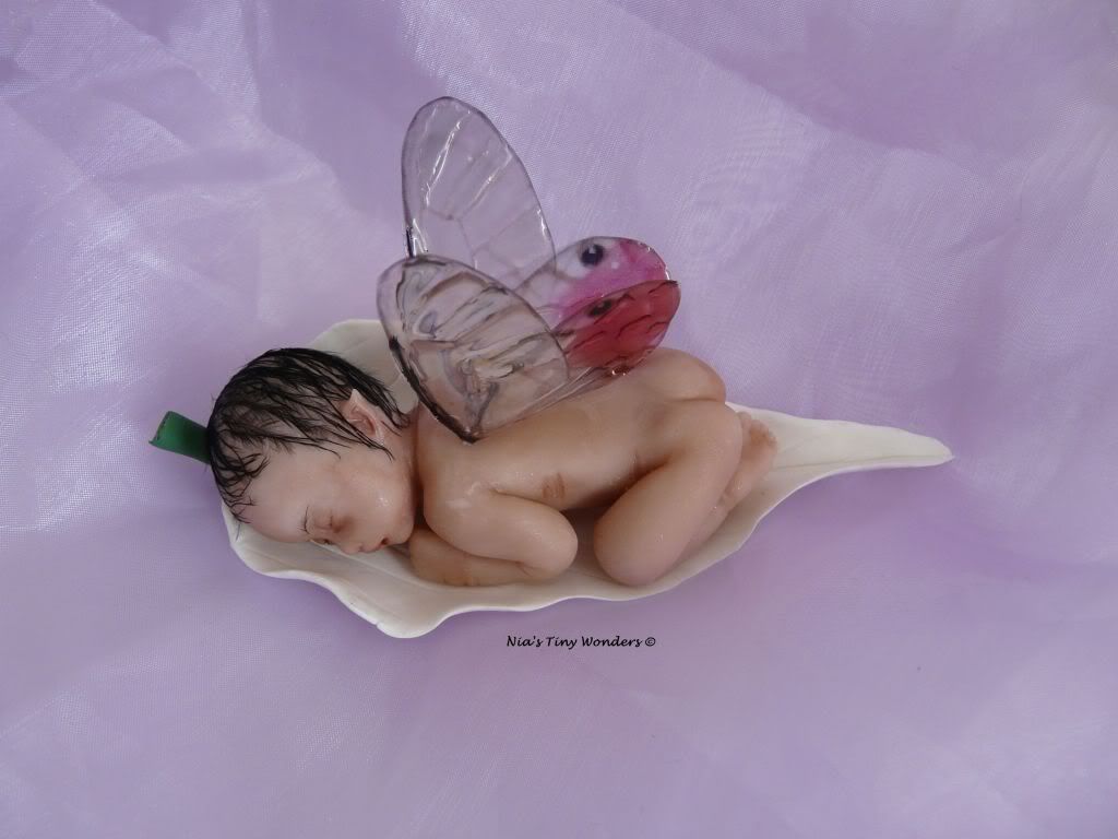 lily5 fairy