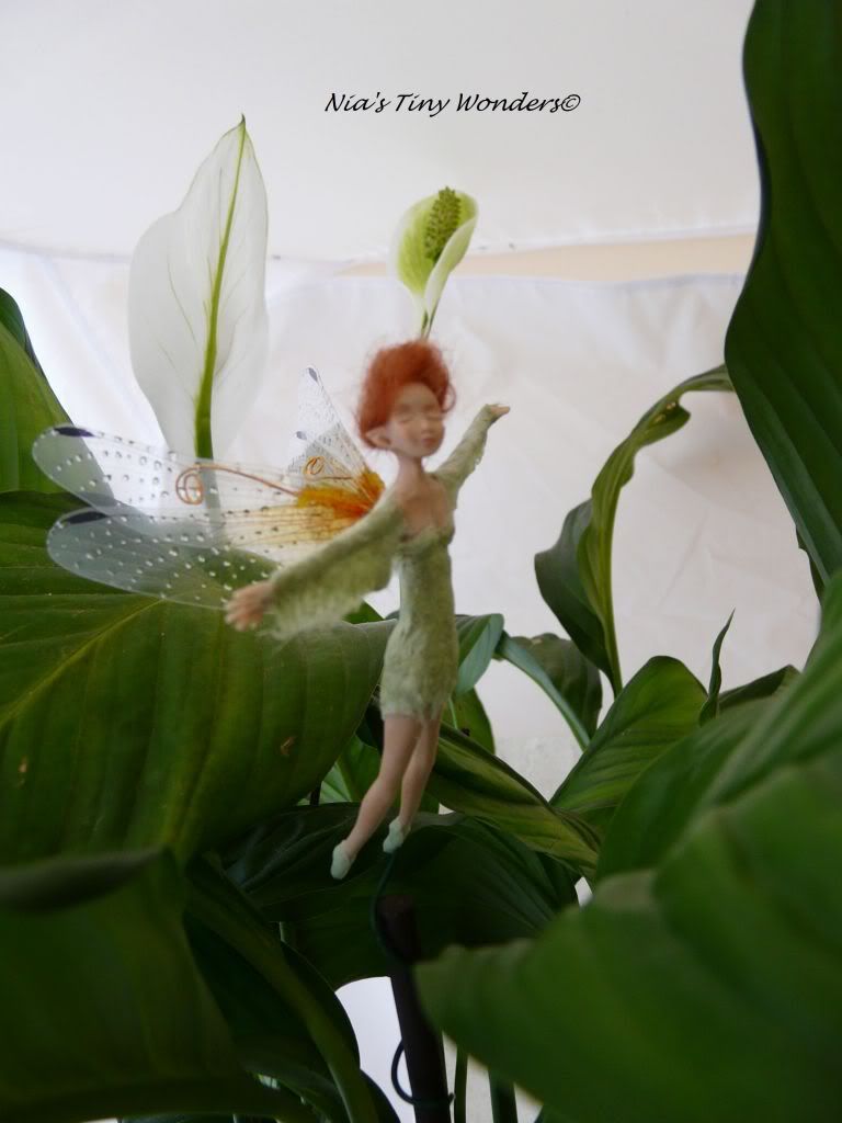 potplantfairy32_zps7a5ff41a