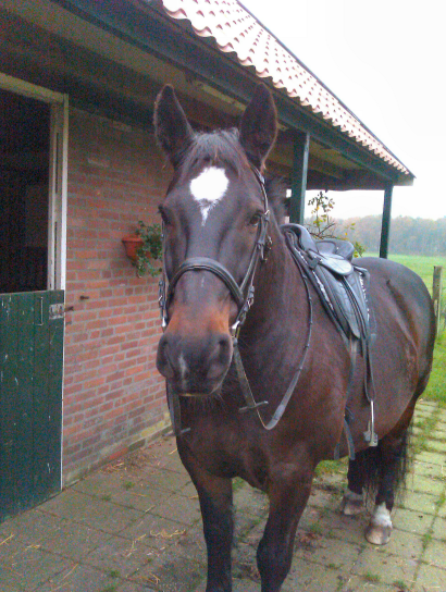 Afbeelding