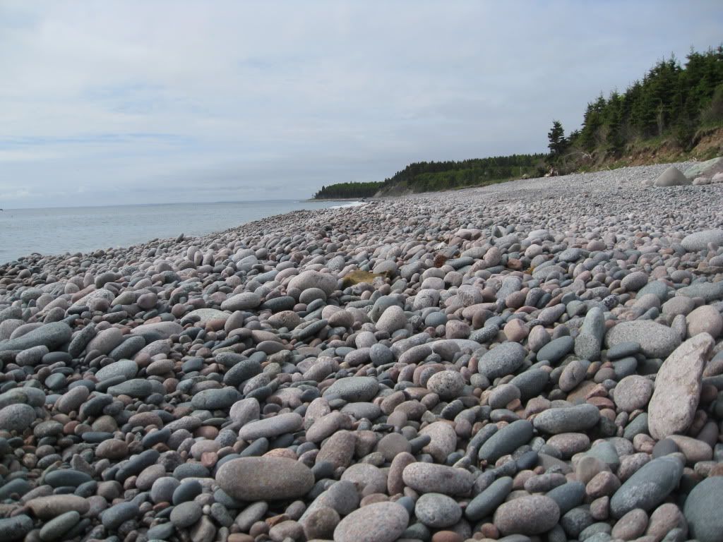 NovaScotia2009253.jpg