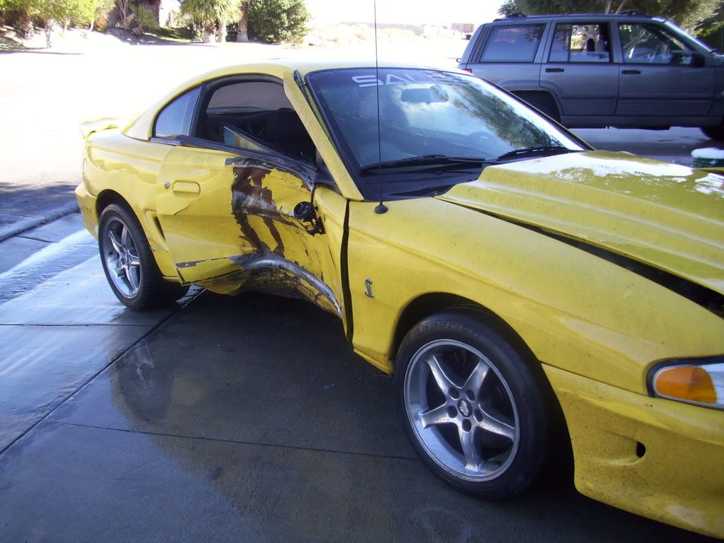 YellowSaleenCobra002.jpg