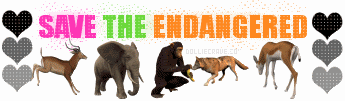 Pro Animals Graphics