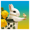 Cute Icons