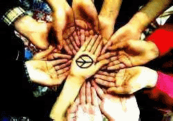 Profile Graphics, Page Graphics