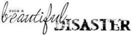 Profile Graphics, Page Graphics