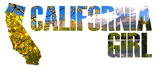 USA Photo Text Graphics