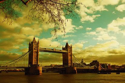 Photography Graphics