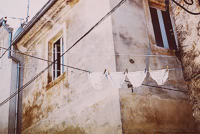 Photography Graphics