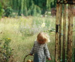 Photography Graphics