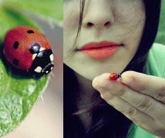 Photography Graphics
