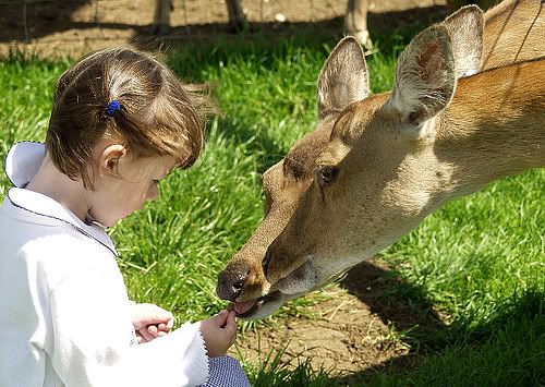 quotes about kindness and respect. kindness and respect for