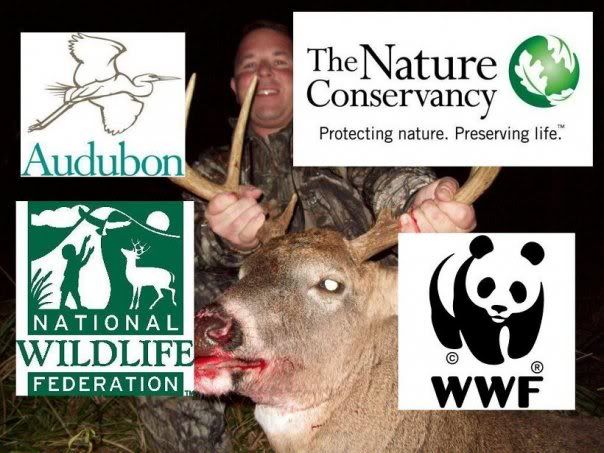 world wildlife federation