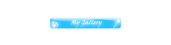 gallerybutton.png