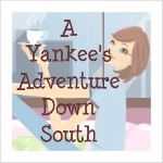 A Yankee's Adventure Down South