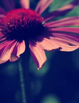 01114T22S8.jpg