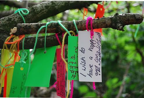 kitty pink stars wishing tree inspired by keri smith