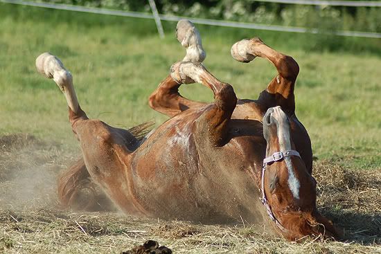kuvaaja ei halua nimeään mainittavan