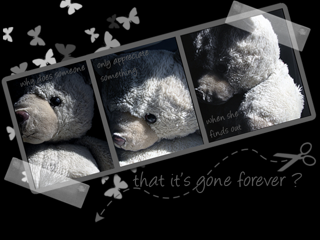 teddy bear