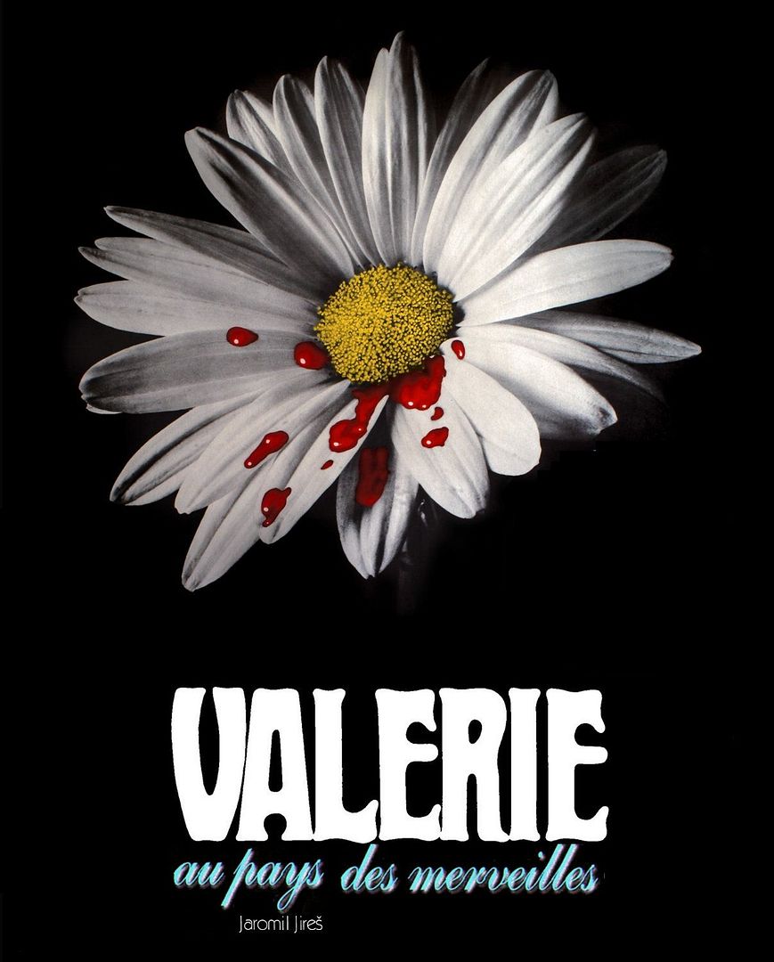 photo aff_valerie_merveilles-02.jpg