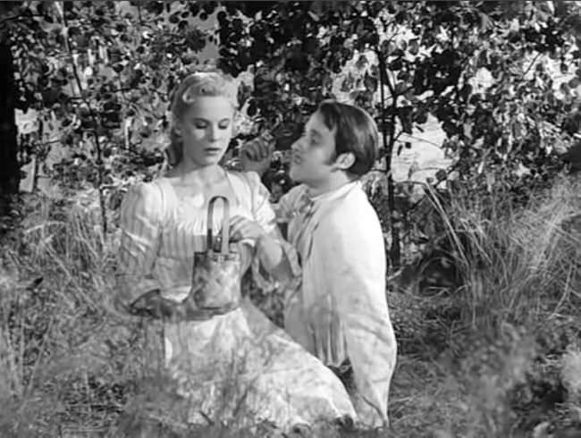 photo cap_fraise_sauvages-4.jpg