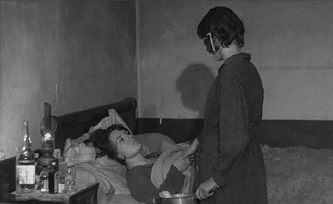 photo cap_mouchette-2.jpg