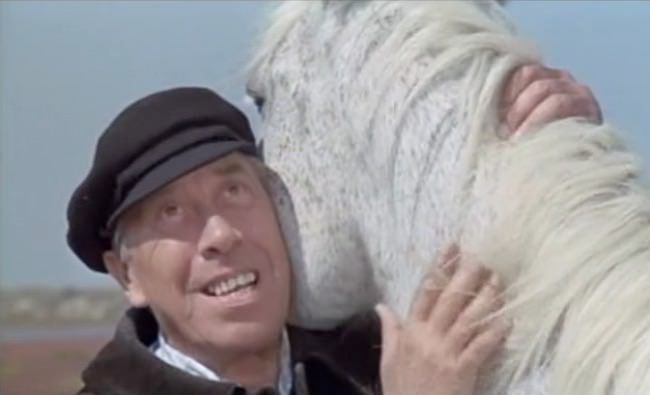 photo cap_heureux_ulysse-6.jpg