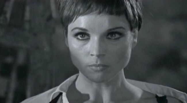 photo Elsa_Martinelli_maldonne-5.jpg