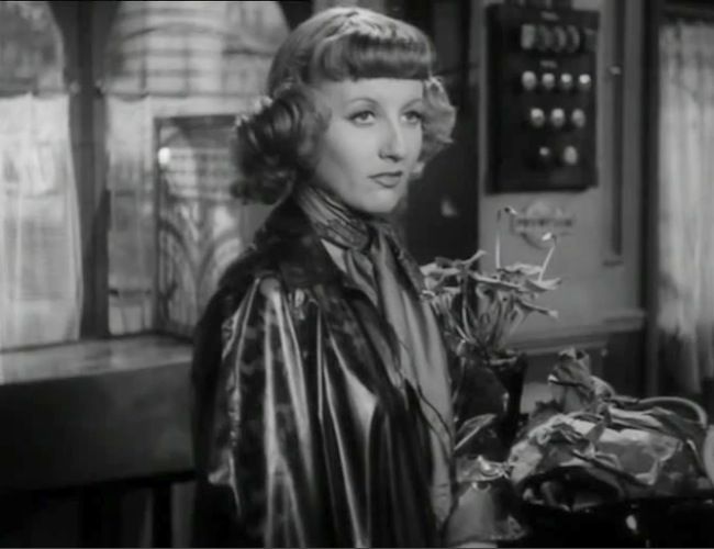 photo marie_daems_petit_zouave-02.jpg