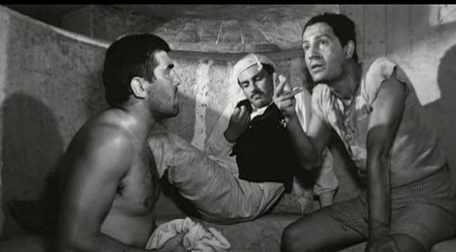 photo cap_cheval_tigre-1.jpg