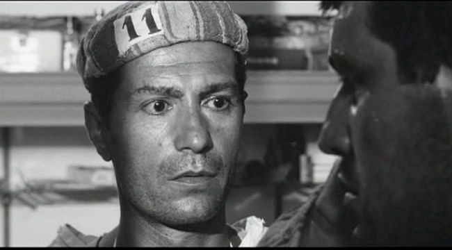 photo cap_cheval_tigre-2.jpg