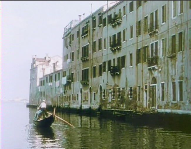 photo senso-05.jpg