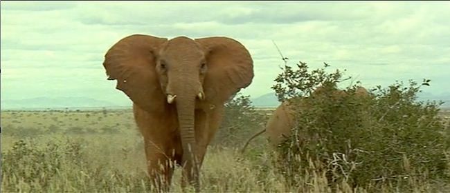 photo africain-07.jpg