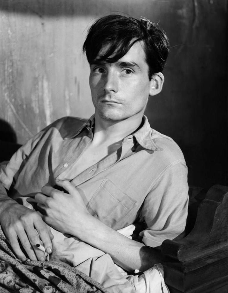 photo gr_pattes_blanches-02.jpg