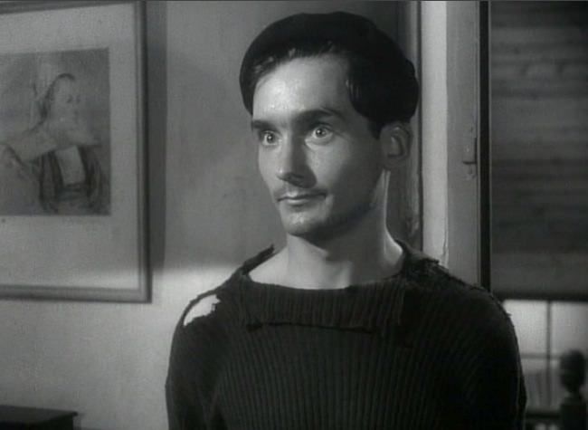 photo pattes_blanches-03.jpg