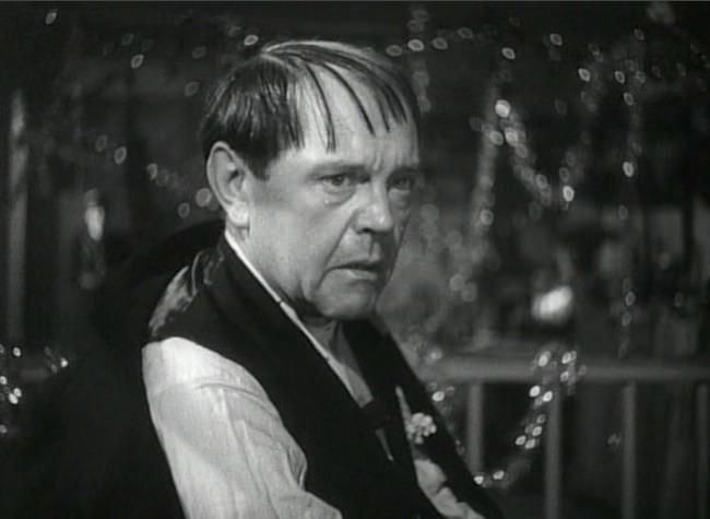 photo pattes_blanches-05.jpg