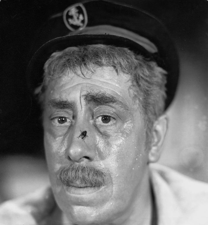 photo gr_mouton_5_pattes-03.jpg