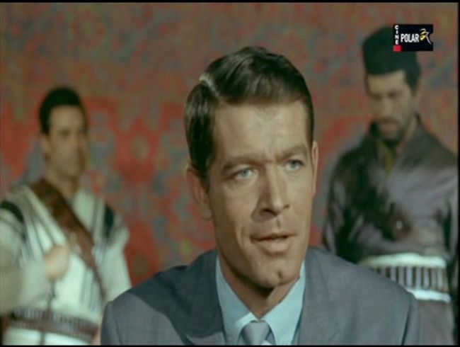 photo Stephen Boyd.jpg