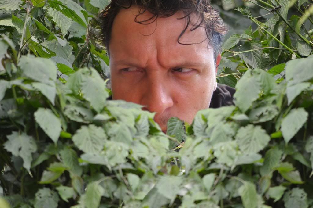 [img width=1024 height=682]http://i664.photobucket.com/albums/vv9/hetismij/TACOSTRUIKEN.jpg[/img]