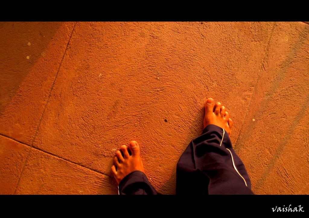 Posted Image