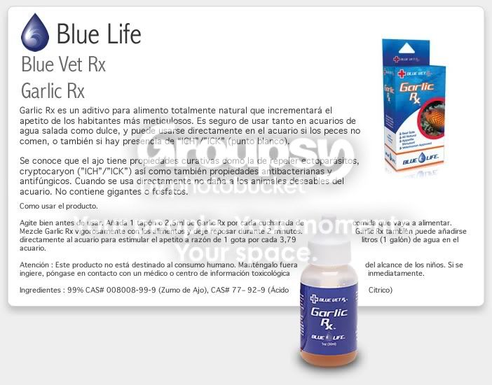 [TodoMarino.com] blue life