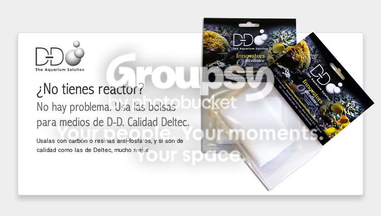[TodoMarino.com] D-D bolsas             D-D aqueacraper