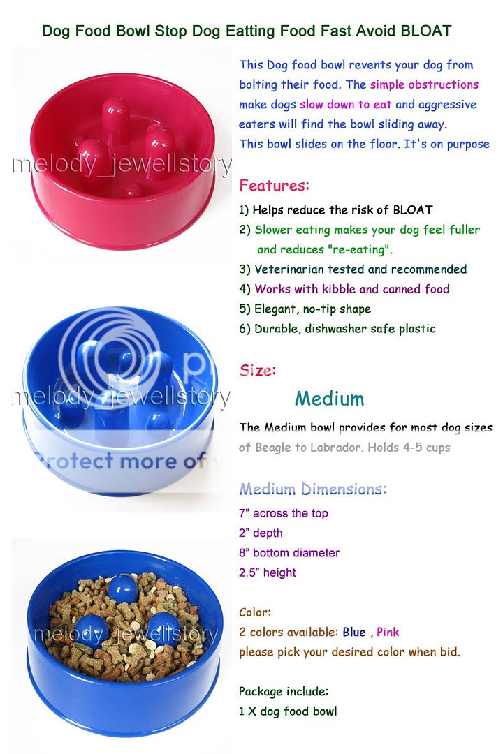 Brand New Slow Feed Pet Dog Food Water Bowl Avoid Bloat