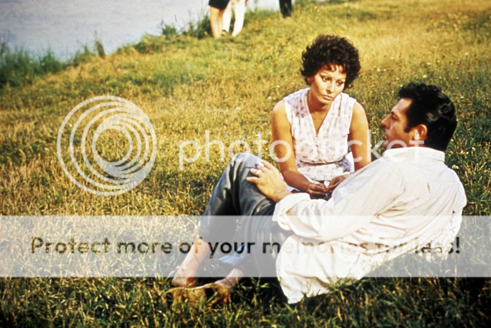  photo girasoli-10.jpg