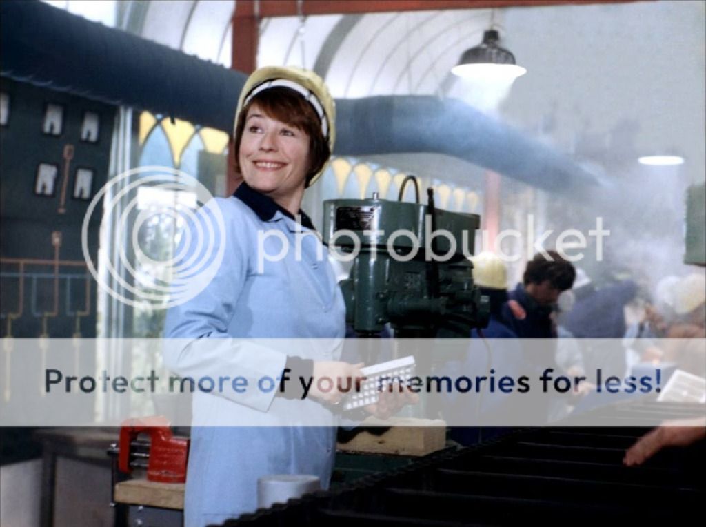  photo zizanie-01-g.jpg